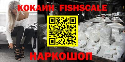 дмт Кингисепп
