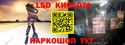 дмт Кингисепп