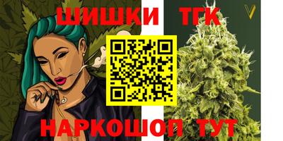дмт Кингисепп