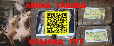дмт Кингисепп