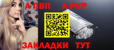 дмт Кингисепп