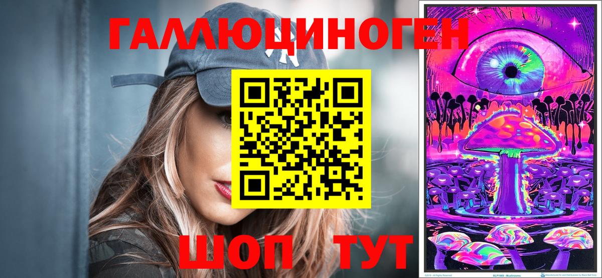 Кизилюрт  Галлюциногенные грибы Psilocybine cubensis  Вход с VPN 