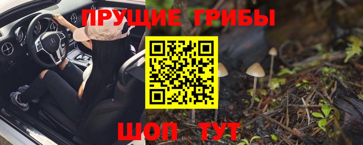 Галлюциногенные грибы Psilocybine cubensis Кизилюрт