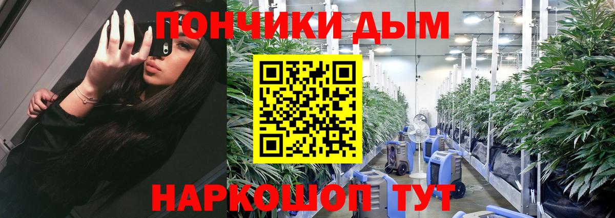 Бошки марихуана индика Кизилюрт
